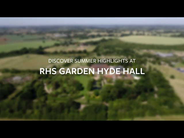 Summer highlights at RHS Garden Hyde Hall | The RHS
