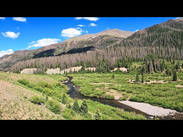 I found the PERFECT STREAM - Amazing CAMPING and FISHING - this stream has it all! part 11