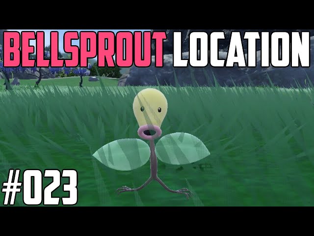 How to Catch Bellsprout - Pokémon Scarlet & Violet (DLC)