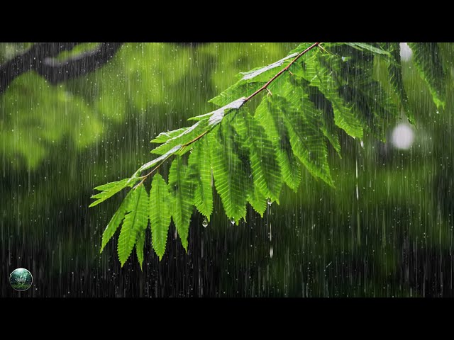 Sleep Instantly in Under 5 Minutes with Relaxing Sleep Music & Rain Sounds🍀 Remove Insomnia Forever