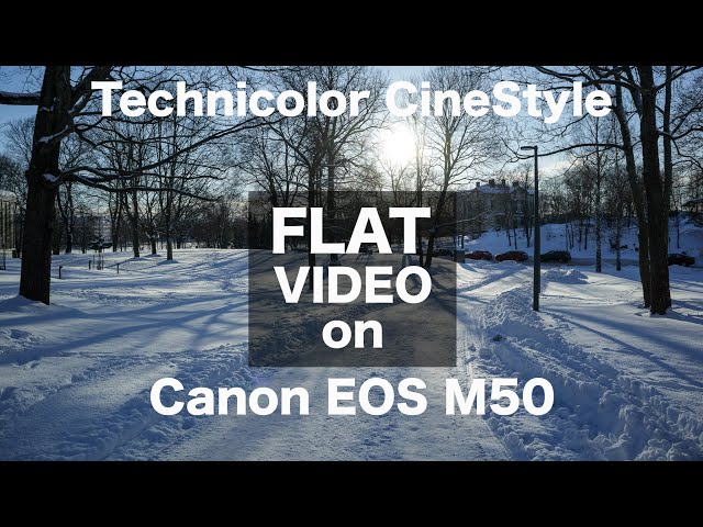 Flat video profile for Canon M50