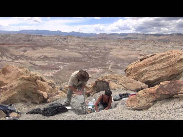 Paleontology 101: The Utah 2014 Expedition
