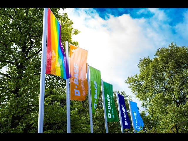 Diversity, Tolerance, Openness and Respect - BASF sets an example during “Pride Month”