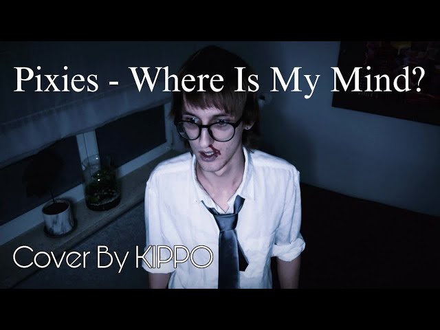 Pixies - Where Is My Mind? (Cover By KIPPO)