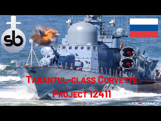 Russia's Tarantul-class Corvette Project 12411