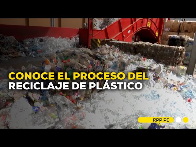 Reciclaje en Perú y su impacto económico ♻️