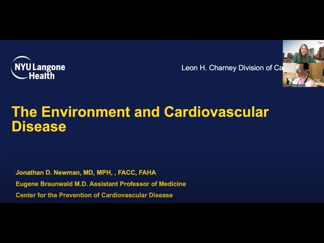 The Environment's Role in Cardiovascular Disease