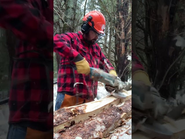 Log Peeling in a Hurry #logcabin #sawingwithsandy