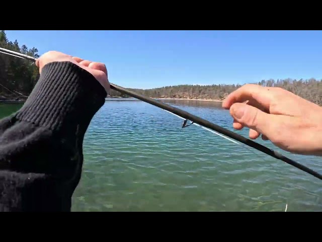 Catching a small rainbow trout on a wet fly