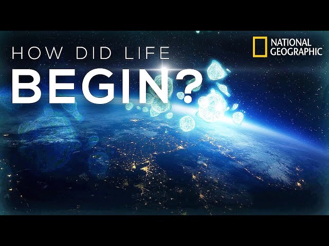 National Geographic - How Life Began | Science Documentary