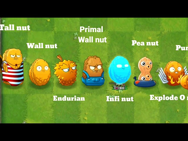 PvZ 2 All Nut Plants - Which plant has the best defense?