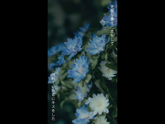 破片（2サビ） - Ayumu Imazu 【Lyric Music Video（YouTube Shorts）】