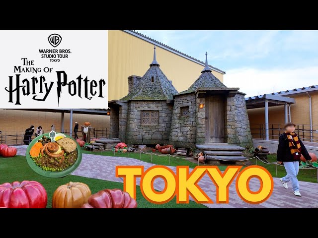Harry Potter Tour and Shopping in Tokyo Japan