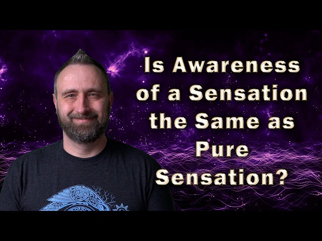 Consciousness Q&A: Is Awareness a Sensation?