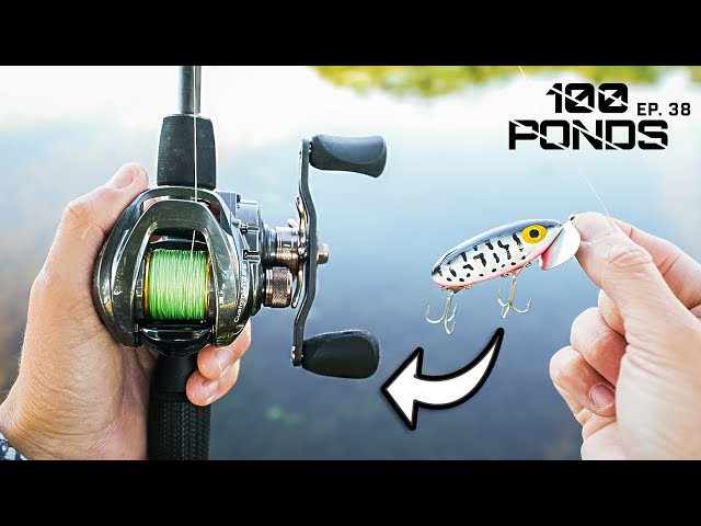 Fishing Old Fashioned Topwater In Ponds! (100 Ponds Ep. 38)