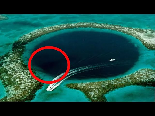 Men Dive Into The Blue Hole Of Belize, Uncovering A Dark Secret Hiding In The Murky Depths
