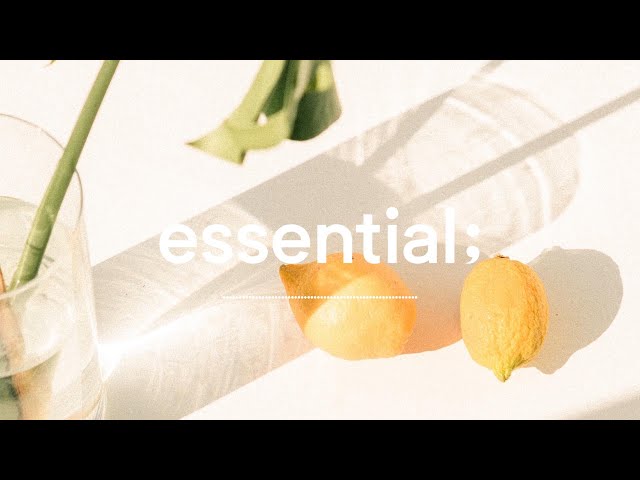 [Playlist] 따사로운 어느 봄날ㅣ푸릇푸릇 싱그러운 바질향이 느껴지는ㅣspring basil aromatic pop 🌿