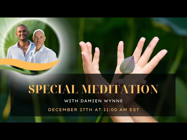Special Meditation with Damien Wynne | December 27th at 11AM EST