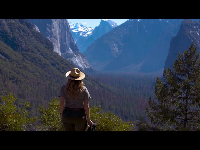 Being a Wilderness Ranger in Yosemite | Park Champions