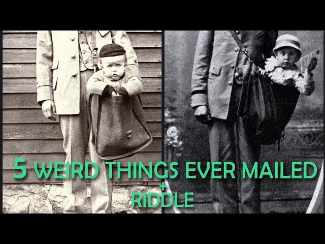 Riddle Challenge! | 5 Weird things ever sent by Mail | Fact-ery #7