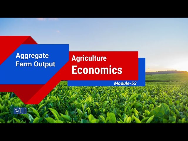 Aggregate Farm Output | Agricultural Economics | ECO608_Topic053