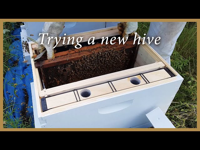 Honey Bees - Installing a Nuc in a New Hive - GSB S2 E3