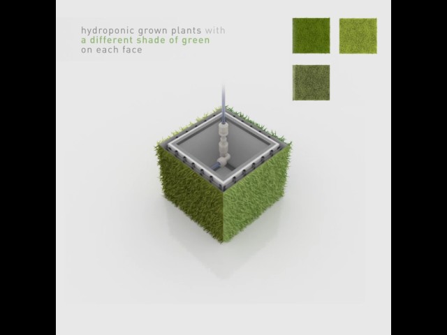 Kinetic Green Canvas / Associative Data Research x Green Studios