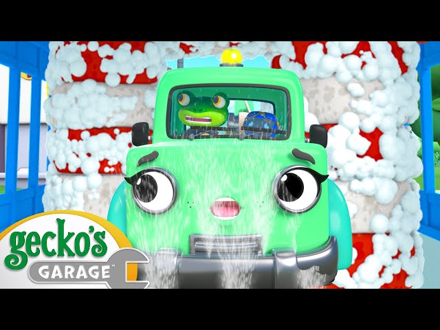 Sudsy Car Wash Catastrophe | Gecko's Garage | Cartoons For Kids | Toddler Fun Learning