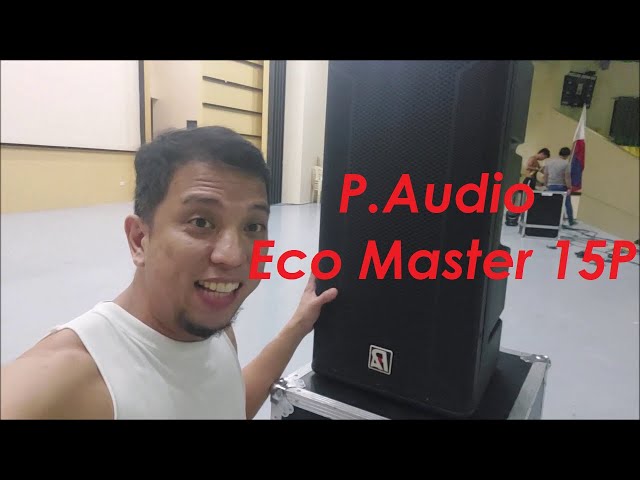 P Audio ECO master 915P | quick look