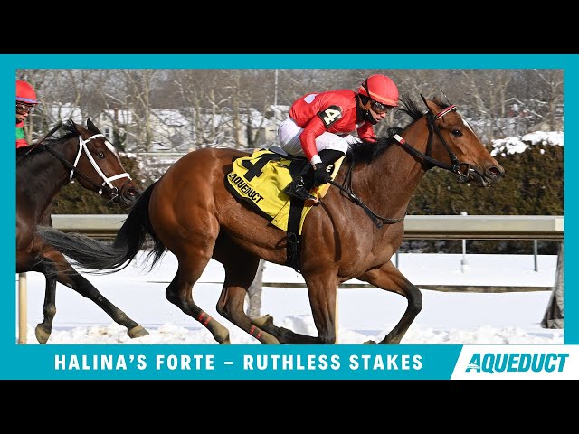Halina's Forte - 2024 - The Ruthless