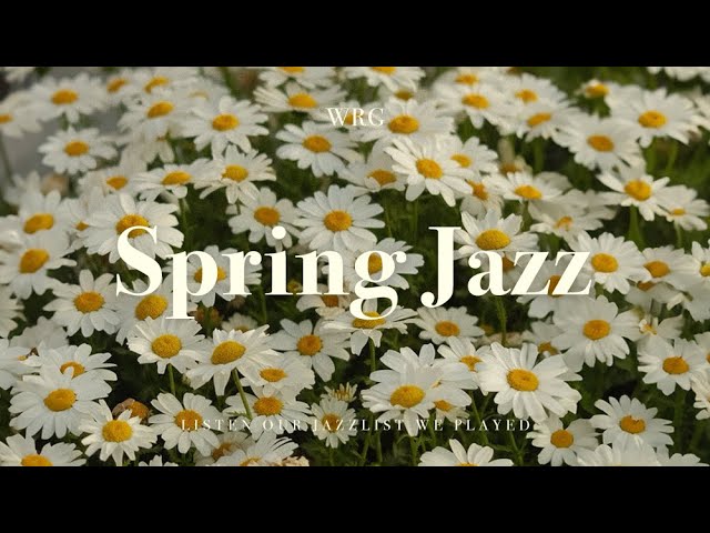 [Playlist] 벌써 봄이 왔나 봄 🌷 설레는 봄에 듣기 좋은 재즈 | Spring Jazz | Relaxing Background Music
