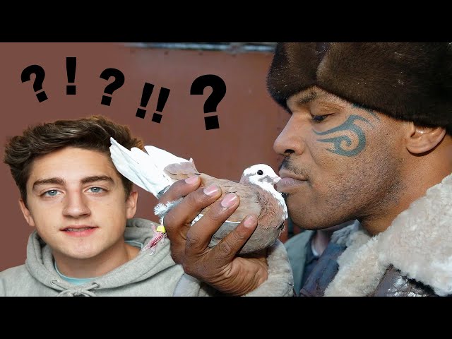 mike tyson is obsessed with pigeons??