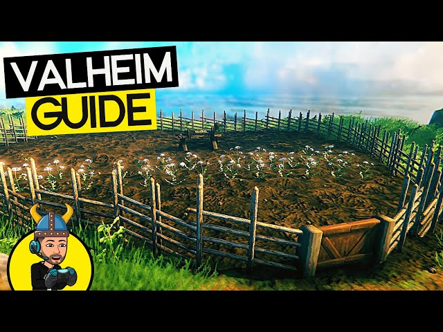 BOAR + CARROT FARMS! The Valheim Guide Ep 7 [Valheim Let's Play]