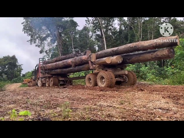 aksi nekad para driver logging di musim hujan demi mencapai target