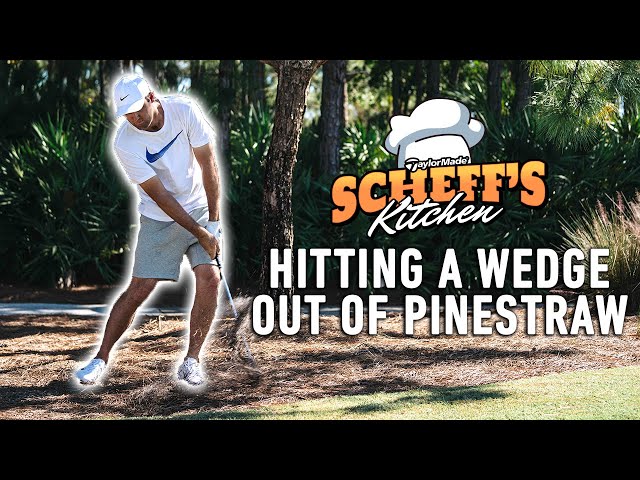 Scottie Scheffler Teaches How To Hit A Wedge Out Of The Pine Straw | TaylorMade Golf
