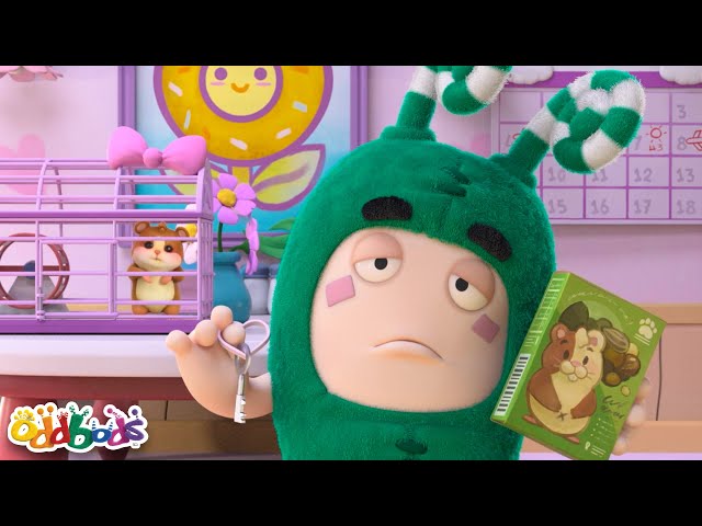 Oddbods! | Zee In Charge! | Full Episode | Funny Cartoons for Kids