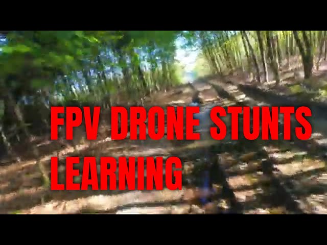 FPV Drone Learning - my progress in 2021