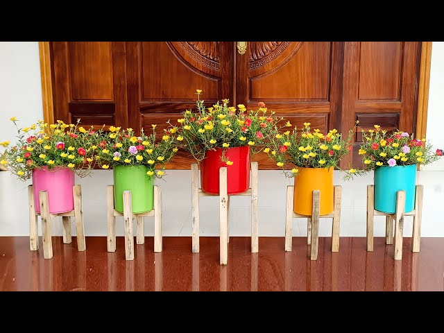 Colorful Moss Rose Garden, DIY Colorful Flower Pots Easy and Economical