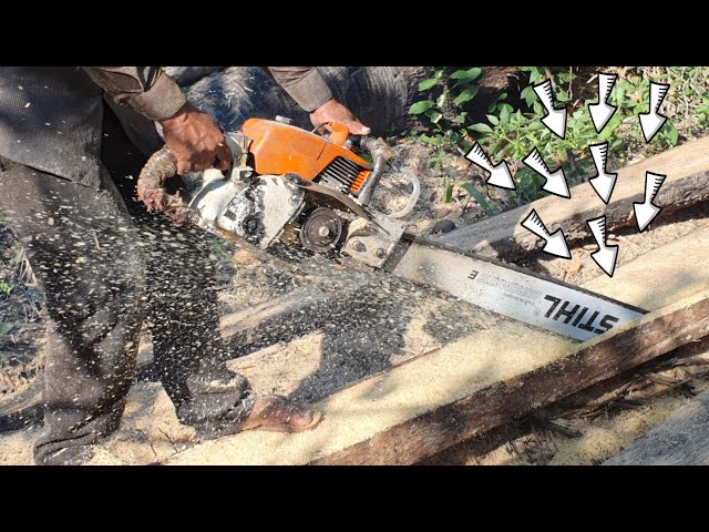 Chainsaw Stihl Vs Palm Tree Wood Cutting Machine Sawing Process