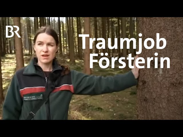Den Wald im Blick: Försterin Julia Bischof | Wir in Bayern | BR