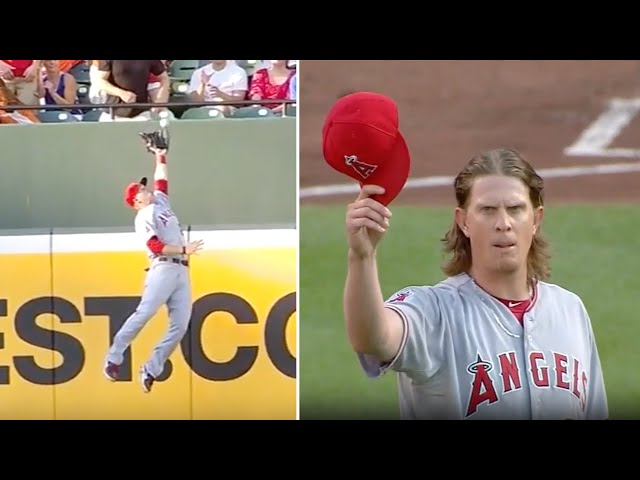Incredible MLB leaping plays!