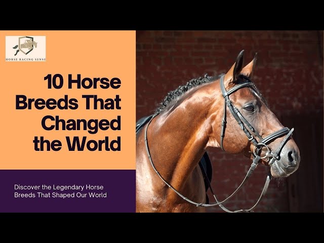 10 Horse Breeds That Changed the World