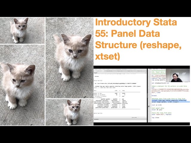 Introductory Stata 55: Panel Data Structure (reshape, xtset)