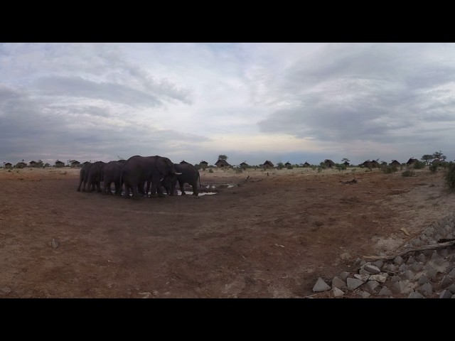 Elephant Sands 360 Image - Botswana
