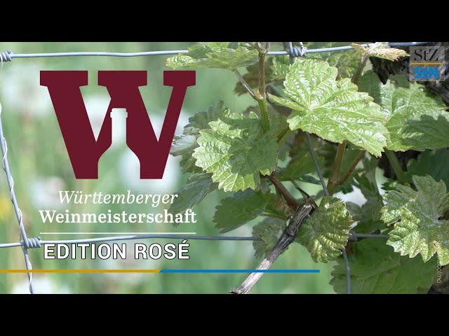 Württemberger Weinmeisterschaft Edition Rosé