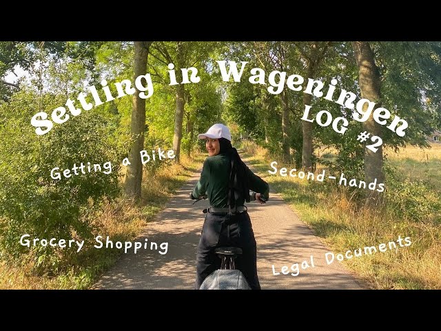 Settling in Wageningen | Second-hands | Getting a Bike | Grocery Shopping | Legal Documents | LOG #2