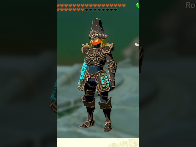 Do you miss these items from Breath of the Wild?