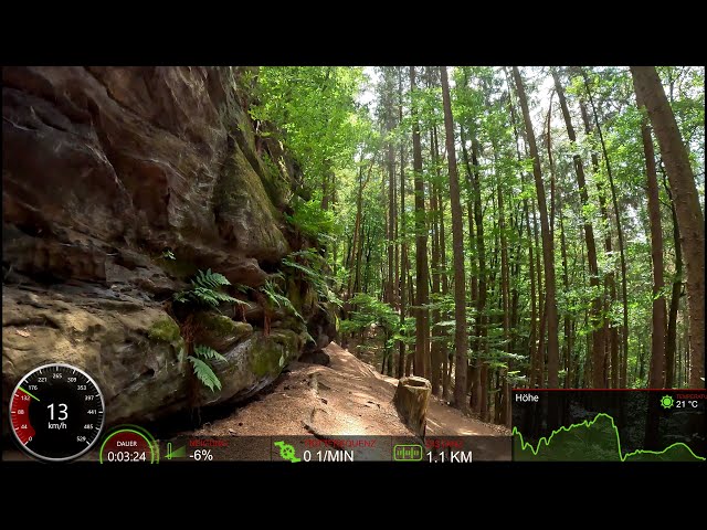 100% Trail Trifox Bike Indoor Cycling Workout Garmin 4K Video