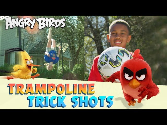 Getting Active with Angry Birds | Trampoline & Trick Shots