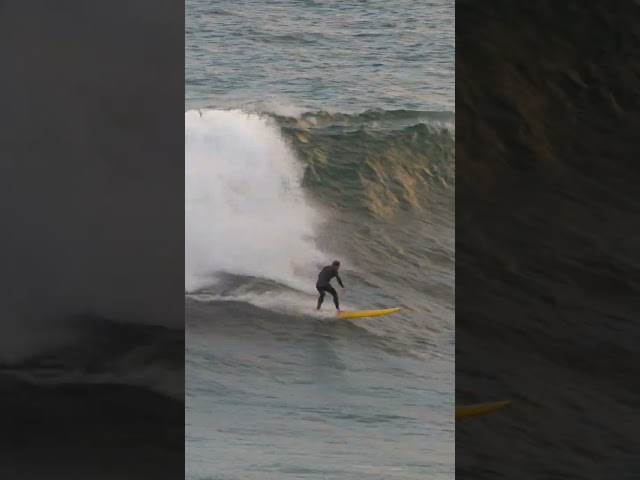 Unlocking the Secrets of Big Wave Surfing: La Jolla Cove's Hidden Beauty #shorts